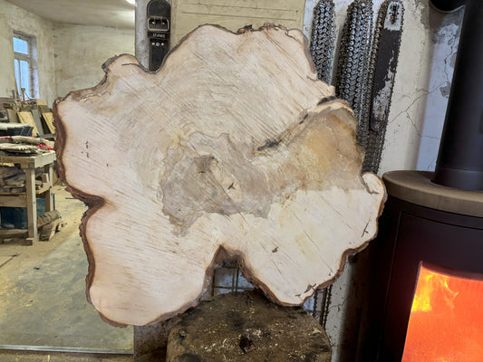 Baumscheibe, Holzscheibe, Tischplatte, ca. 90 x 5 cm, geschliffen